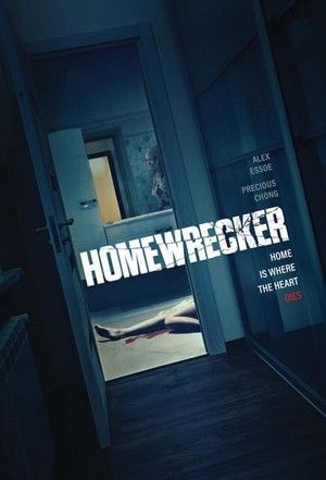 Homewrecker 2019 Dub in Hindi Full Movie